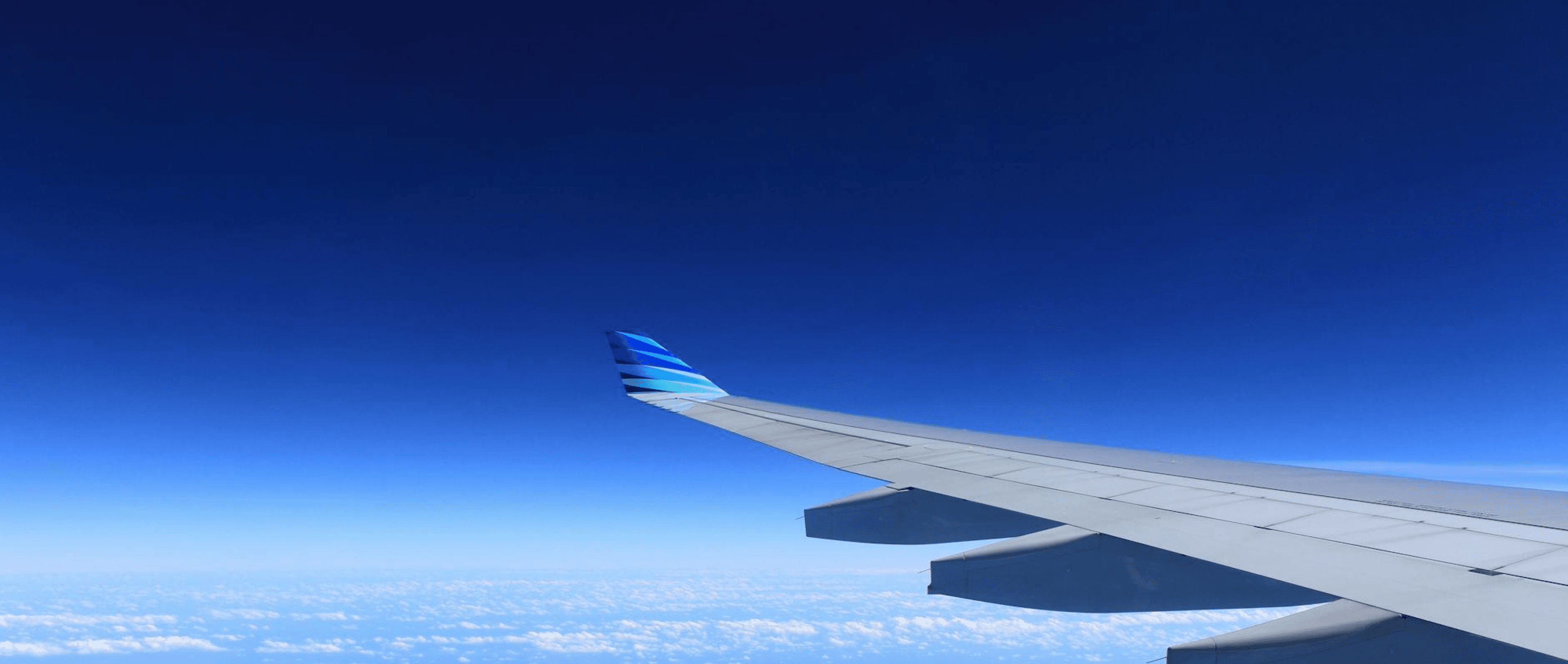 Wing view background
